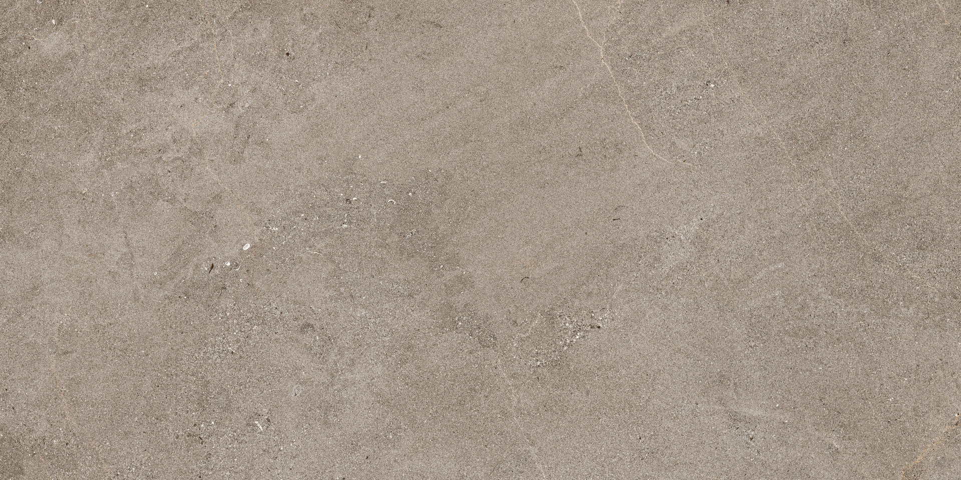 NATURALIA TAUPE C2 RT