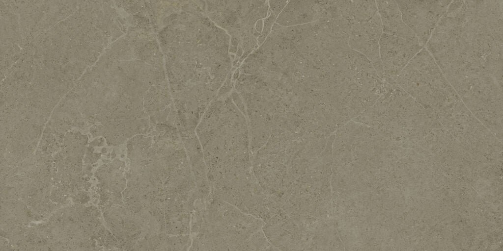 NORWICH TAUPE MATE N-PLUS